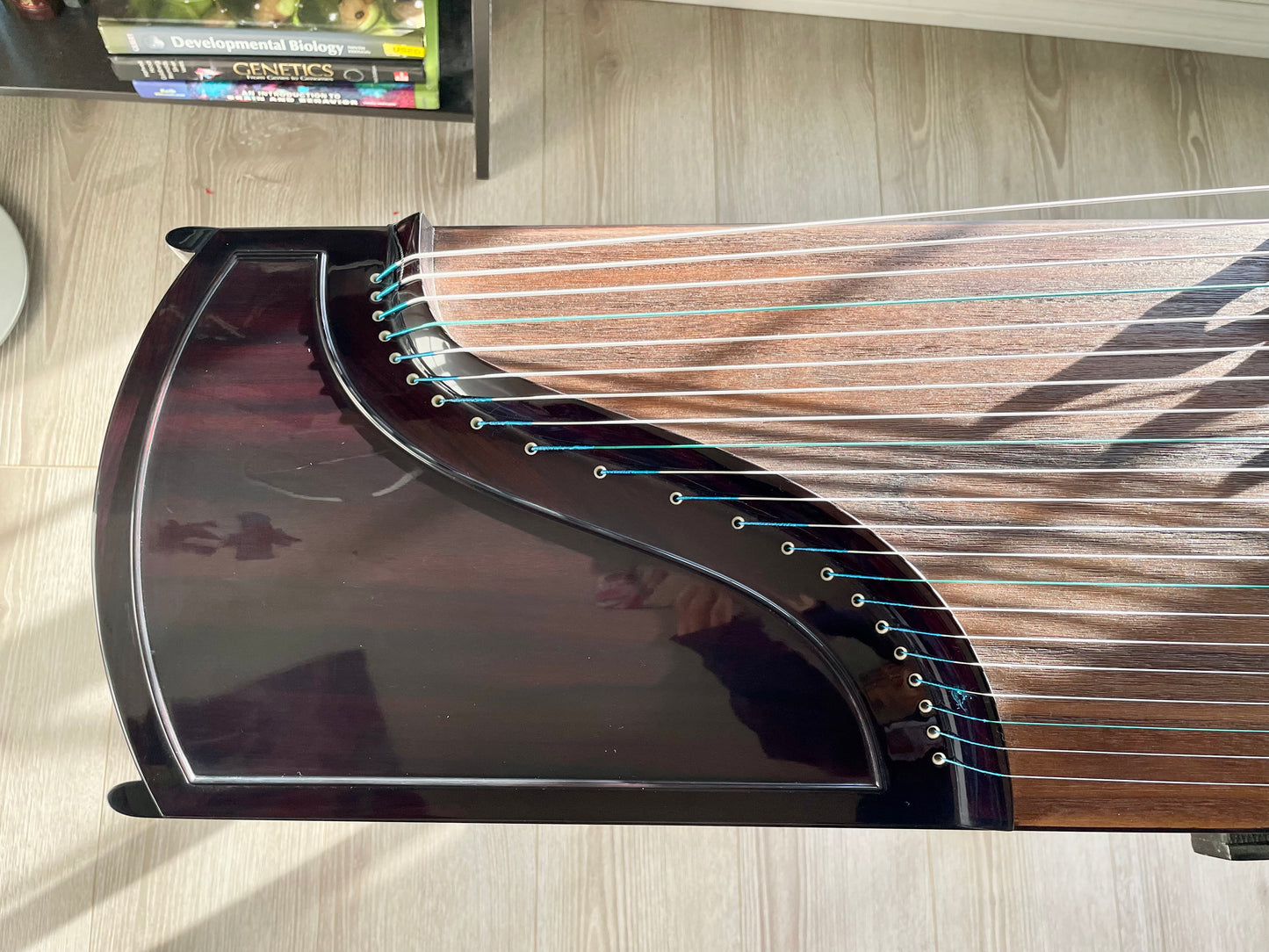 Huali Guzheng 上海华黎古筝 Plain East Indian Rosewood 阔叶黄檀素面